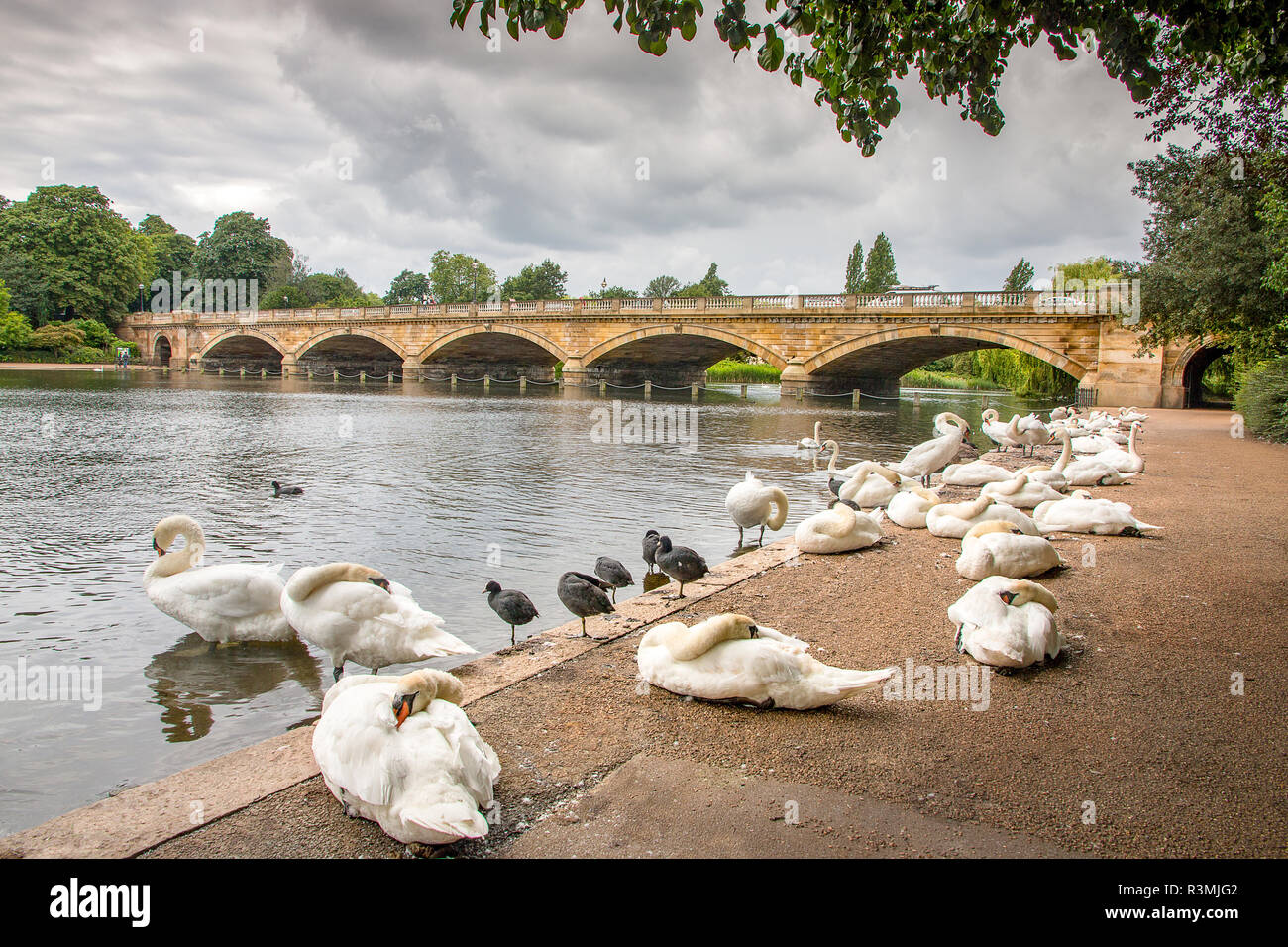 Serpentine bridge, Hyde Park, London, England, UK Stock Photo