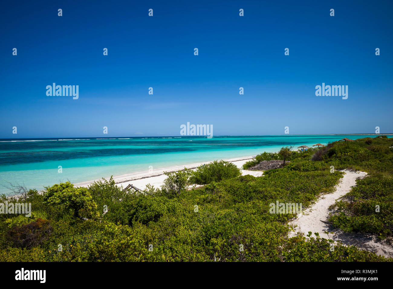 British Virgin Islands, Anegada. Bones Bight Beach Stock Photo Alamy