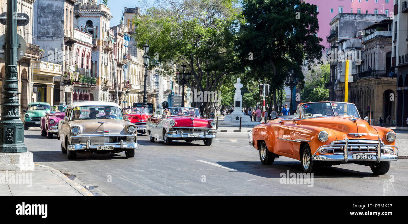 Cuba, Havana. Colorful classic cars driving on street. Credit as: Wendy Kaveney / Jaynes Gallery / DanitaDelimont.com Stock Photo