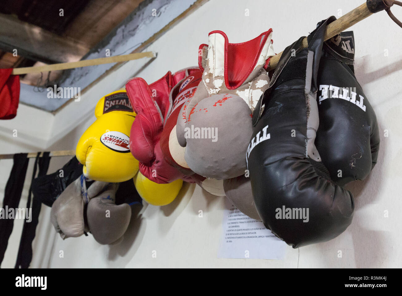 Cuba, Havana. Boxing gloves hanging on wall in gym. Credit as: Wendy Kaveney / Gallery / DanitaDelimont.com Stock Photo - Alamy