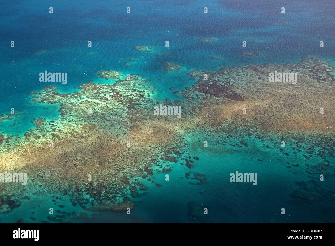 great barrier reef Stock Photo Alamy
