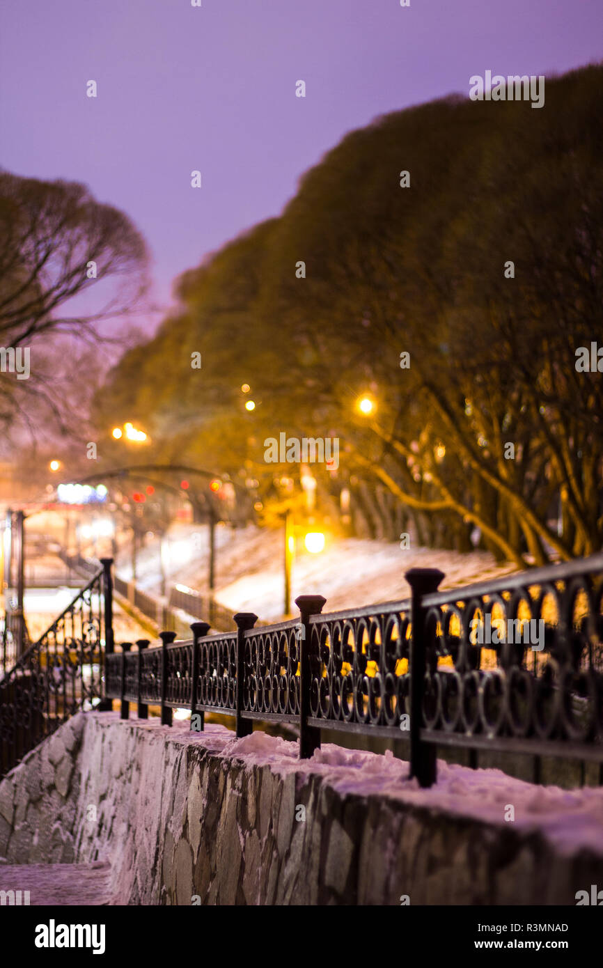 Night winter landscape in the city park. Bridge over the river. Park ...