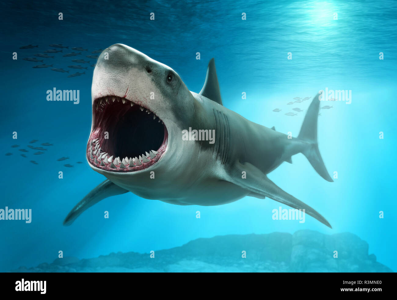 megalodon shark vs great white shark jaws