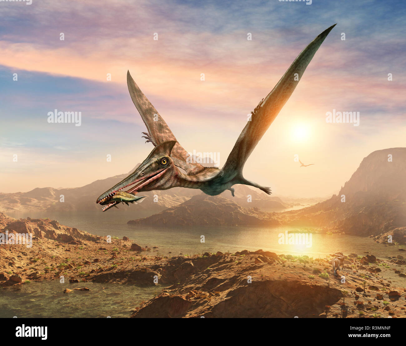 Pterosaur size comparison, artwork - Stock Image - C008/3853