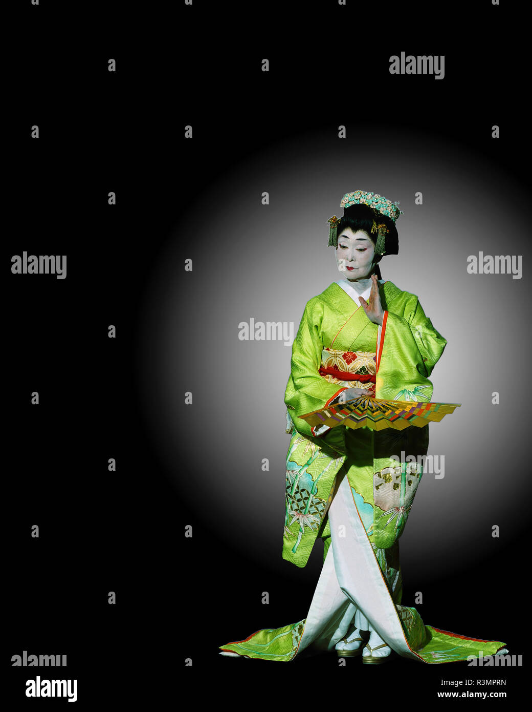 Japan. Geisha performer. Credit as: Jim Zuckerman / Jaynes Gallery / DanitaDelimont.com Stock Photo