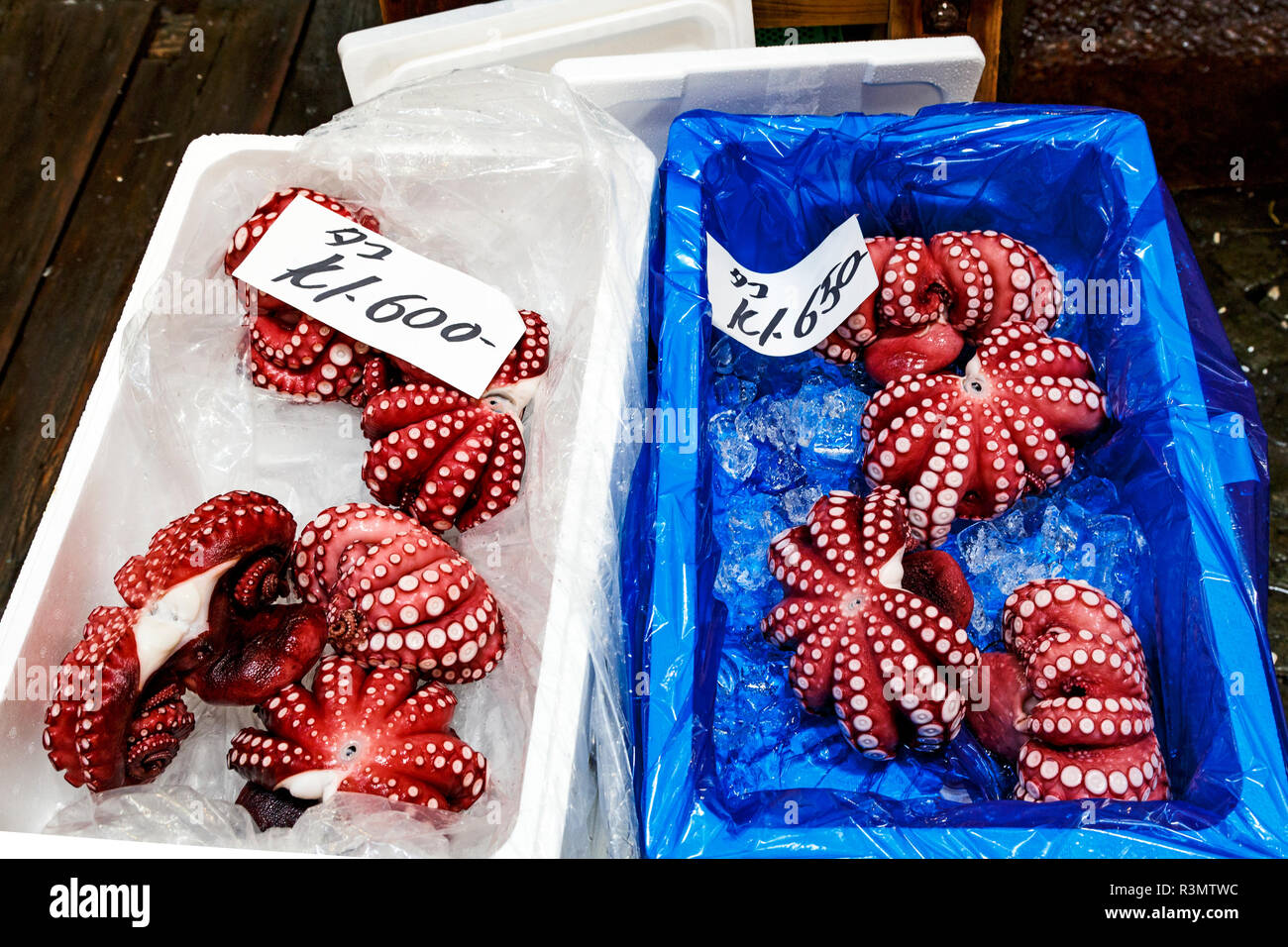 Tokyo Octopus Tokyo, Japan. Octopus for sale at the Tsukiji fish market Stock Photo ...