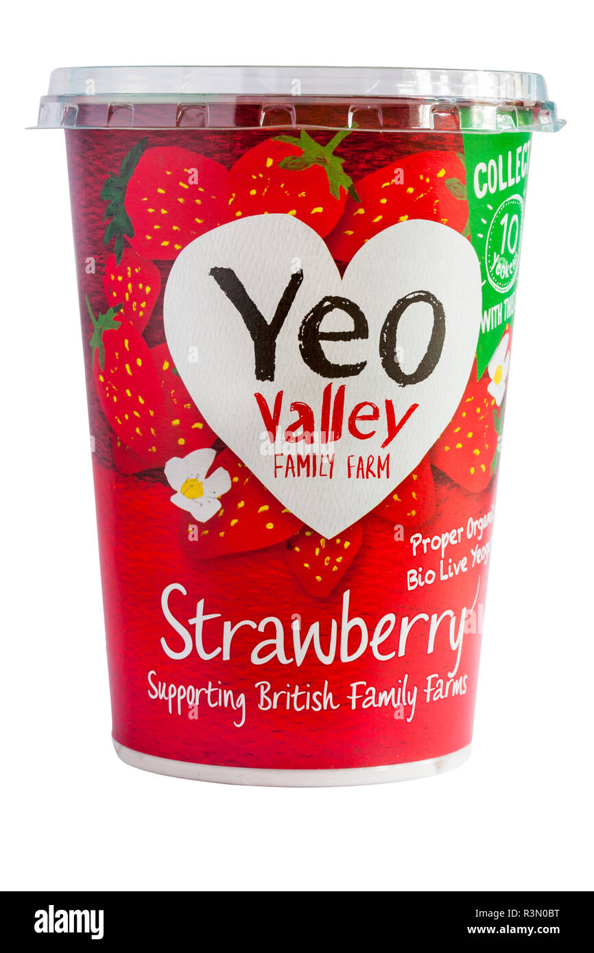 tub of Yeo Valley Family Farm Strawberry Proper Organic Bio Live Yeogurt yogurt - supporting British Family Farms isolated on white background Stock Photo