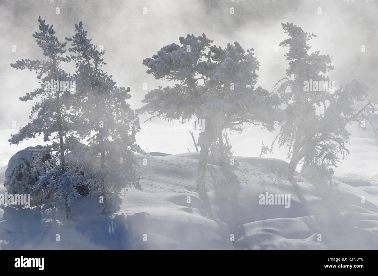 Canada, Ontario, Vermillion Bay. Winter sunrise fog on Wabigoon River