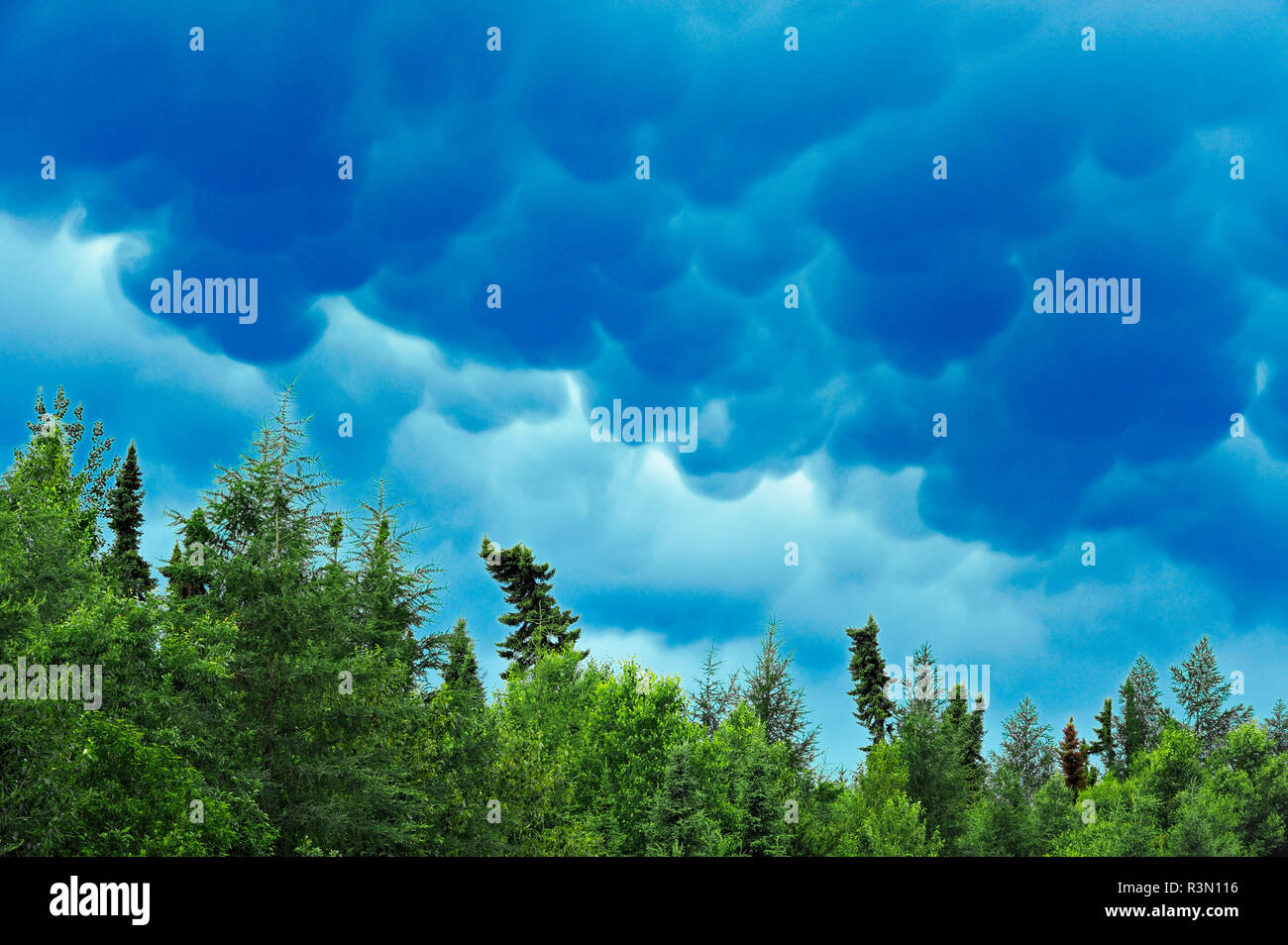 Brooding forest hi-res stock photography and images - Alamy