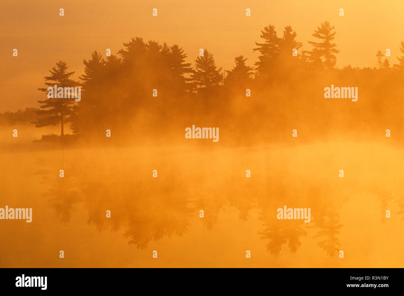 Canada, Ontario, Burwash. Forest and river in morning fog Stock Photo