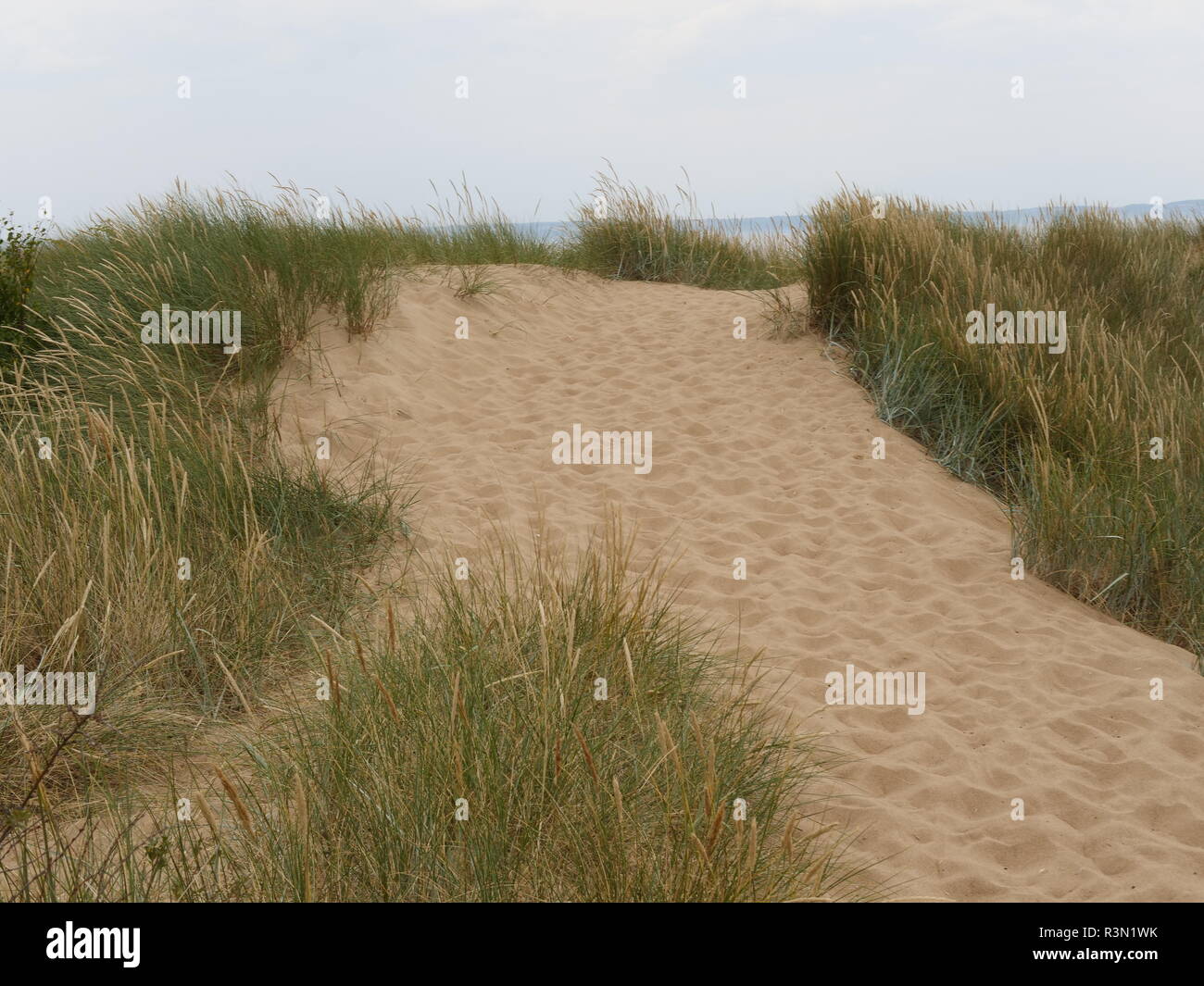 sand dunes in Scandinavia Stock Photo