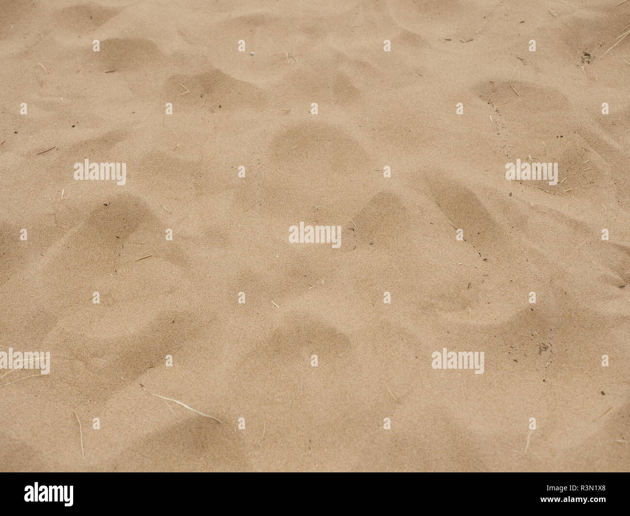 Sandy Strand Beach strand line hi-res stock photography and images - Alamy