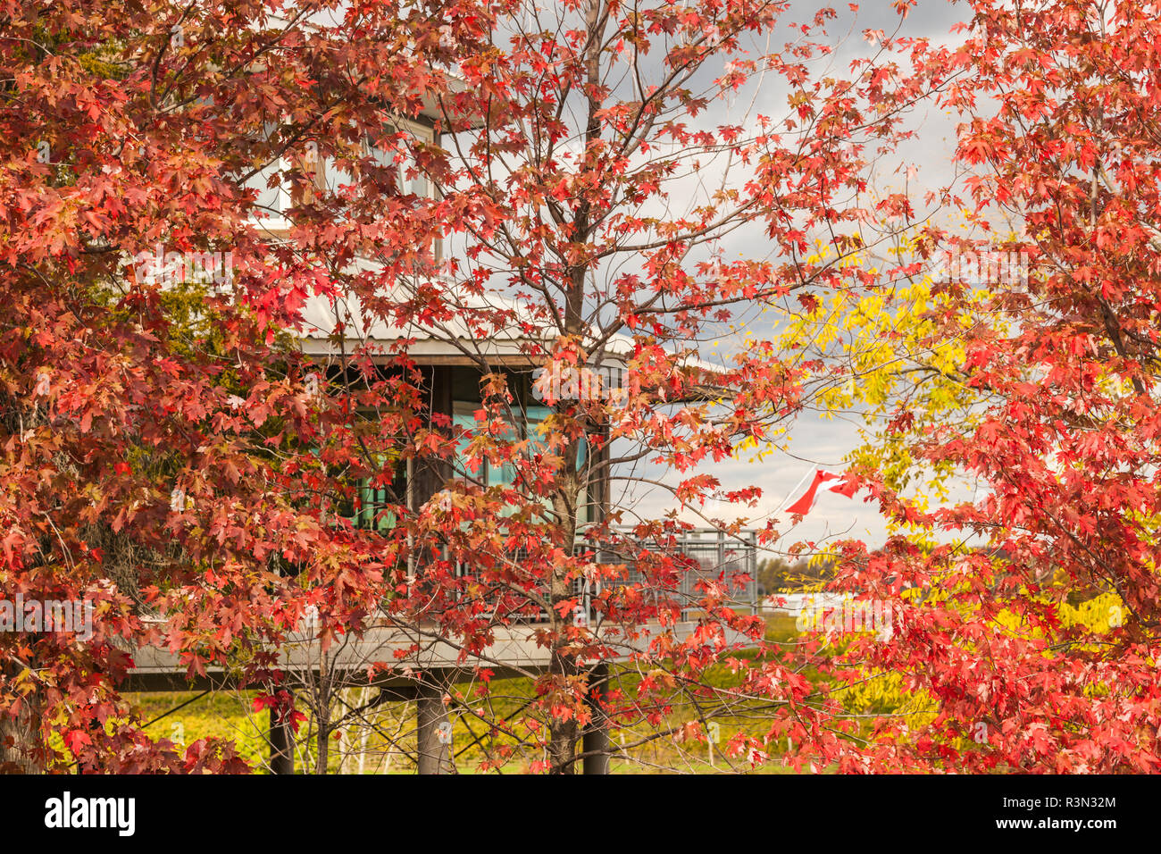 Canada, Ontario, Niagara Escarpment Wine Country, St. Catherines winery in autumn Stock Photo