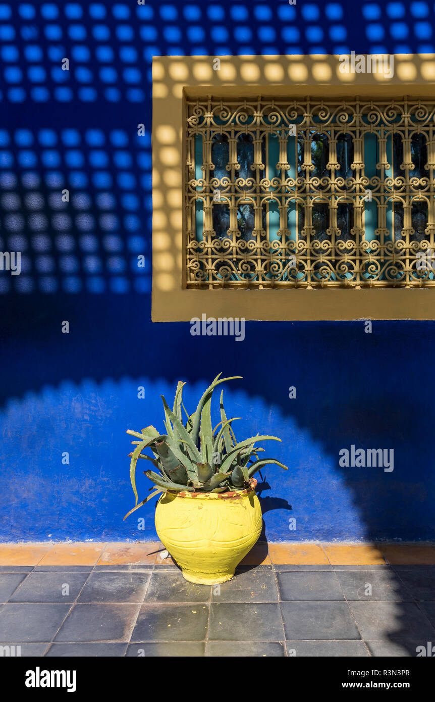 Bleu majorelle hi-res stock photography and images - Alamy