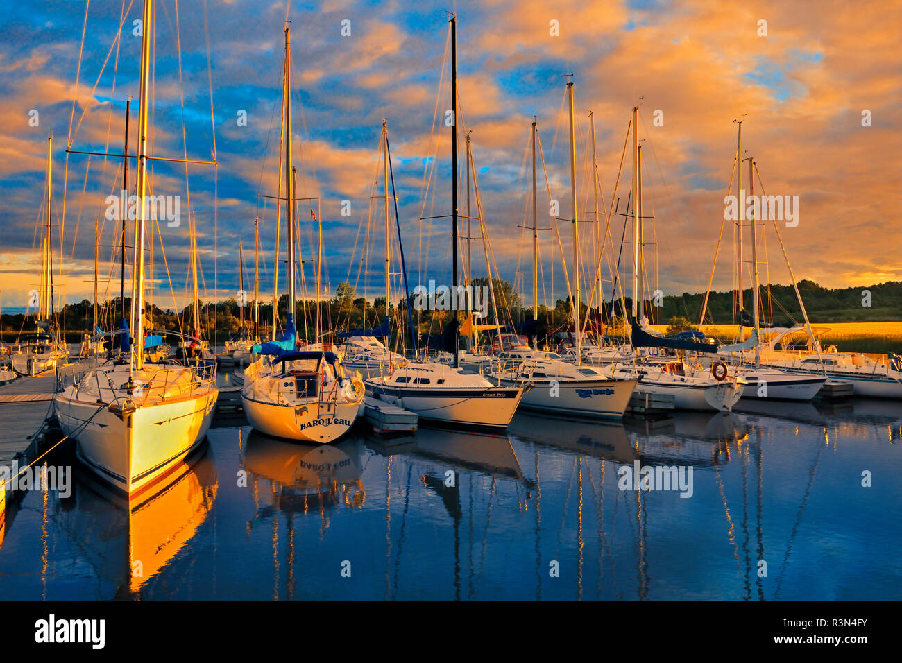 Louis taillon hi-res stock photography and images - Alamy