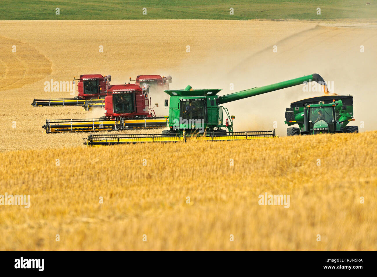 Saskatchewan wheat hires stock photography and images Alamy