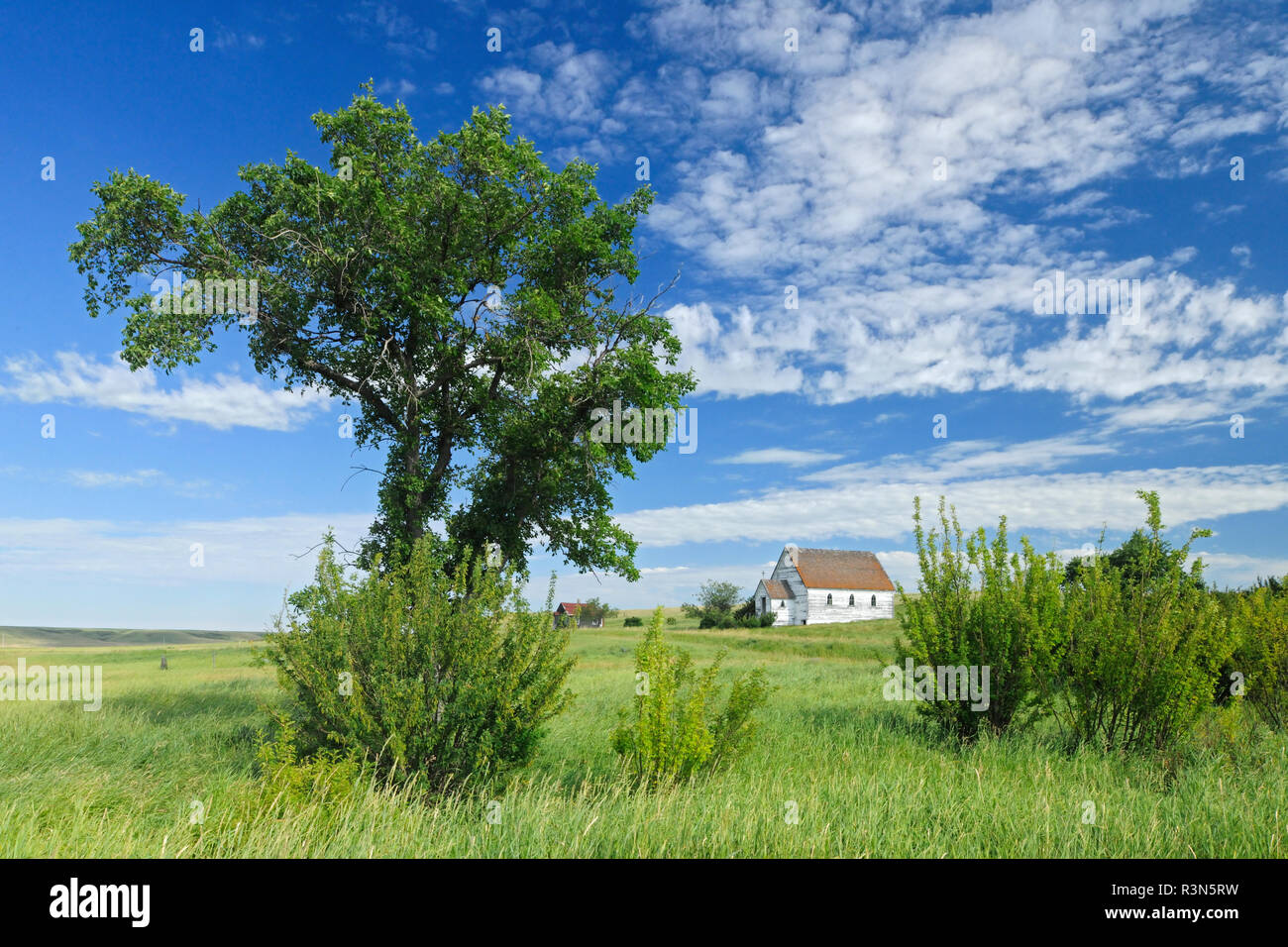 Canada, Saskatchewan, Neidpath. Tree and abandoned church on prairie. Stock Photo