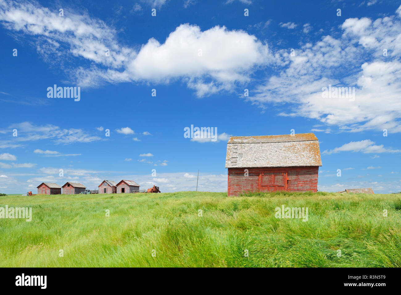 Canada, Saskatchewan, Hazenmore. Wooden granaries. Stock Photo