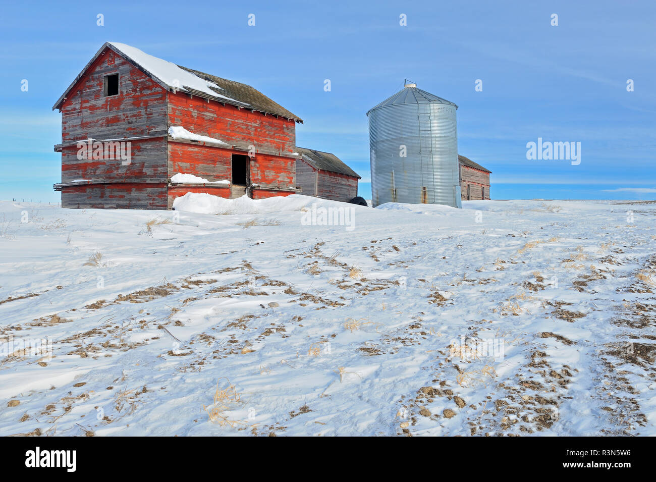 Canada, Saskatchewan, Viceroy. Old barn and grain bins. Stock Photo