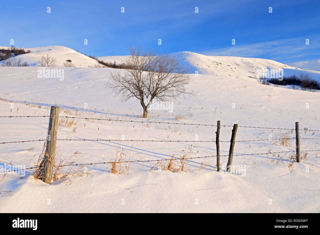 Canada, Saskatchewan, Qu'Appelle Valley. Winter landscape. Stock Photo
