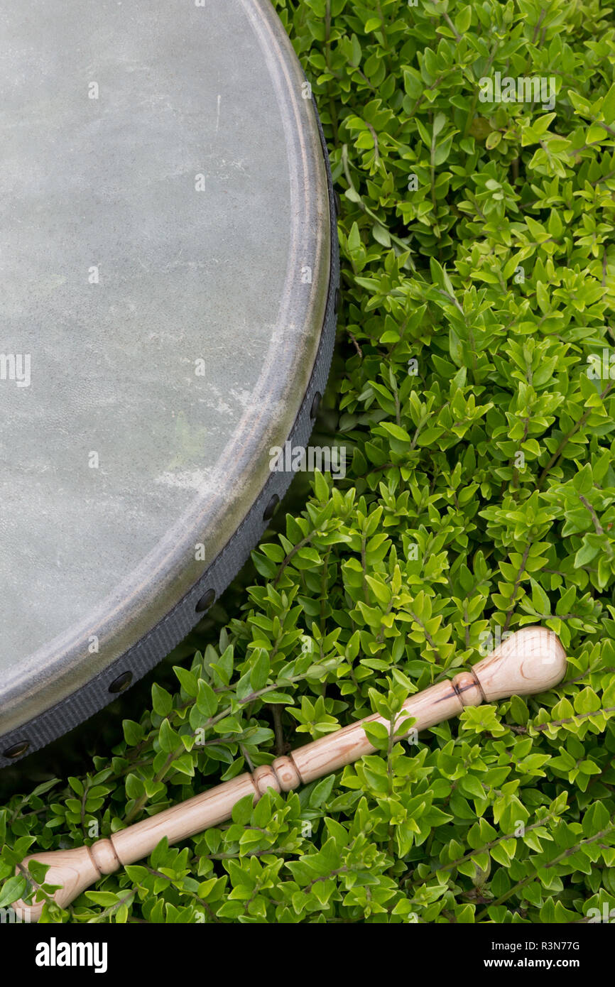 Bodhran drum hires stock photography and images Alamy