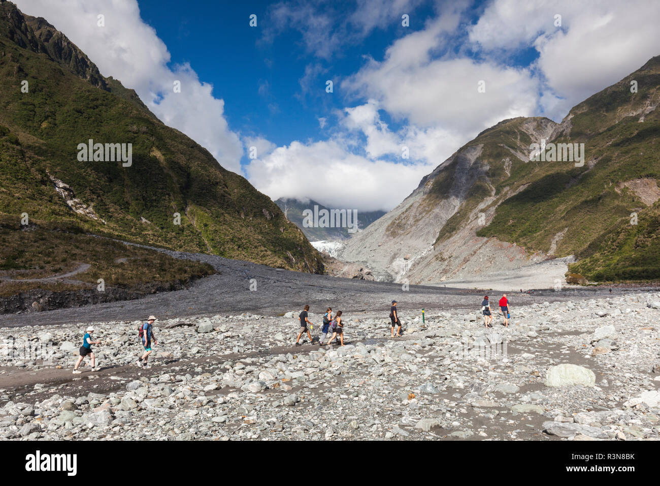 New Zealand, South Island, West Coast, Fox Glacier Village, Fox Glacier hikers along Fox River Stock Photo