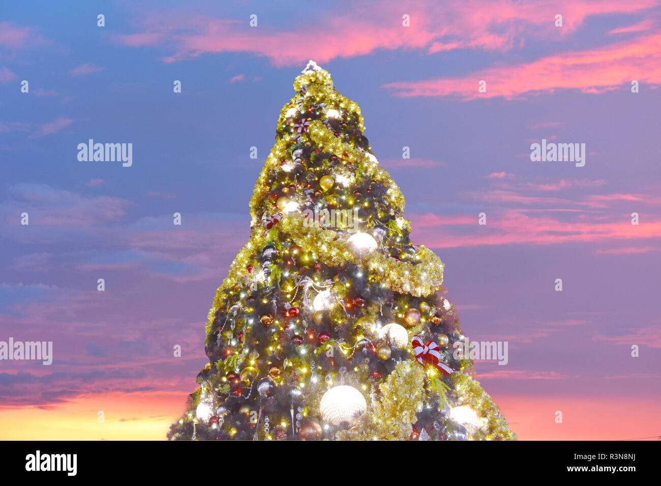 Orlando, Florida. November 15, 2018 Illuminated Christmas Tree on open