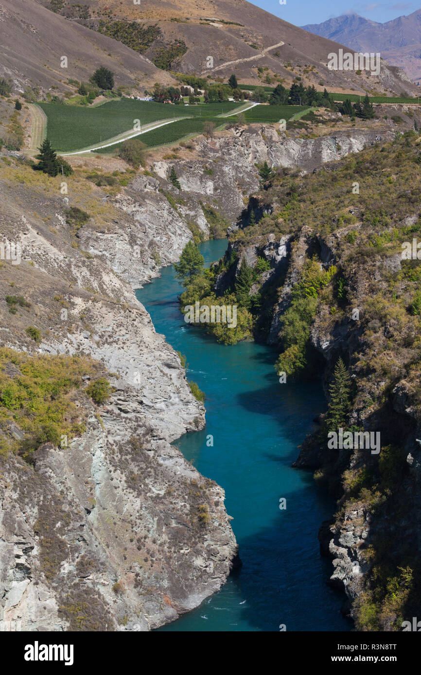 New Zealand South Island Otago Gibbston Elevated View Of The new-zealand-south-island-otago-gibbston-elevated-view-of-the
