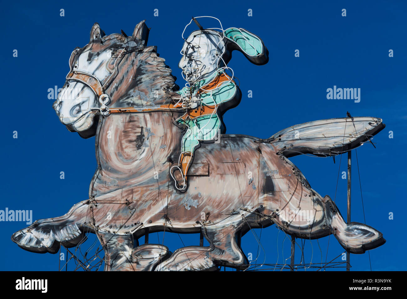 New Zealand, South Island, Otago, Dunedin, horse and rider neon sign, Can't Stop, George Street Stock Photo