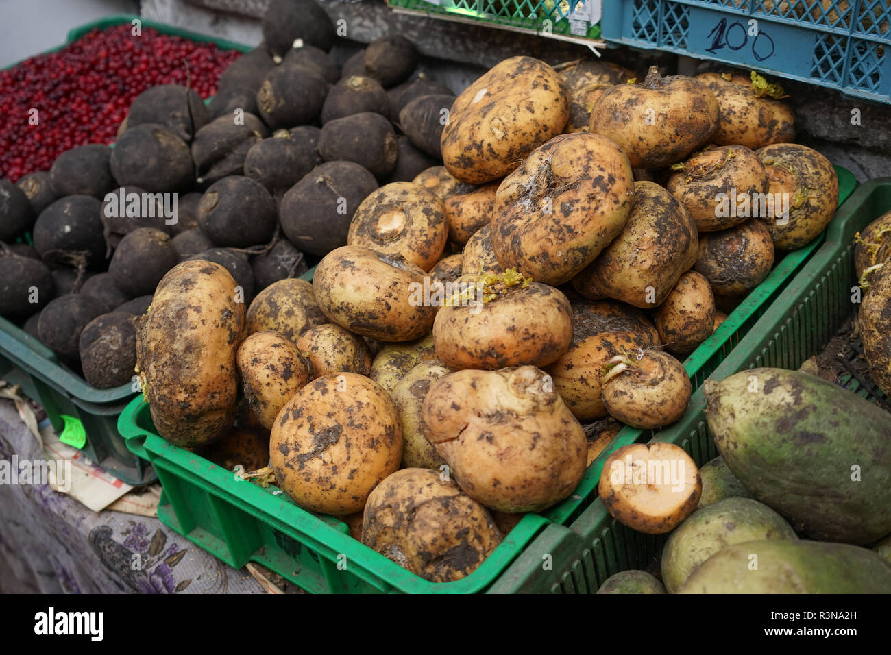 Root crops hires stock photography and images Alamy