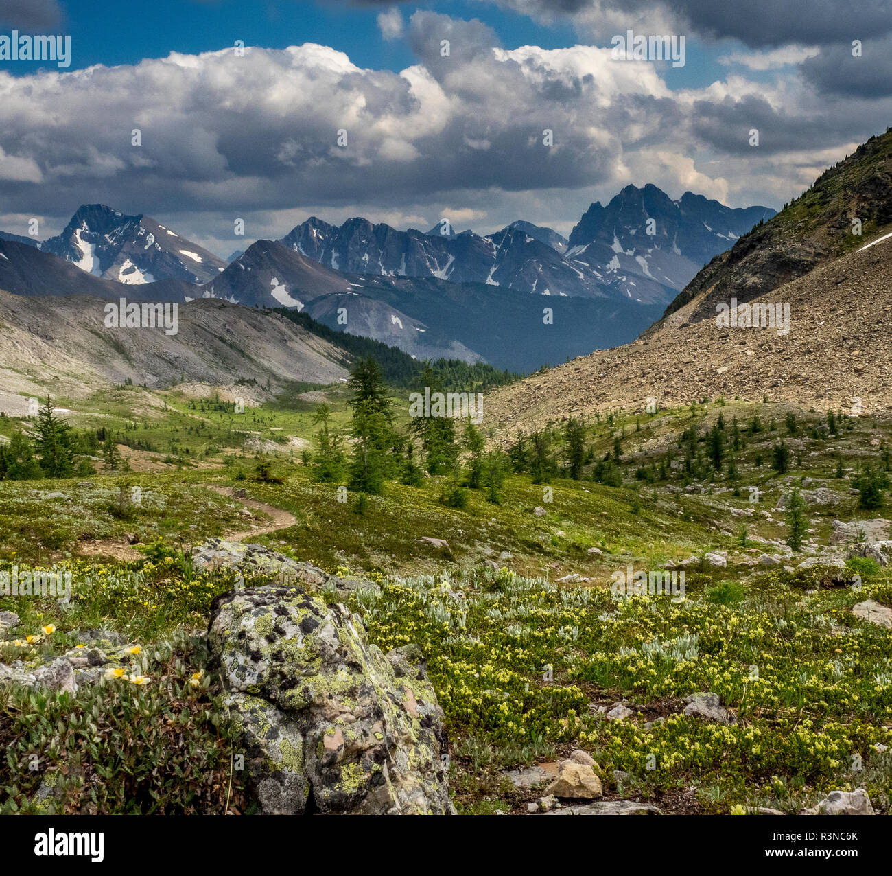 Valley View of Banff National Park from Mount Assiniboine, Provincial Park Stock Photo