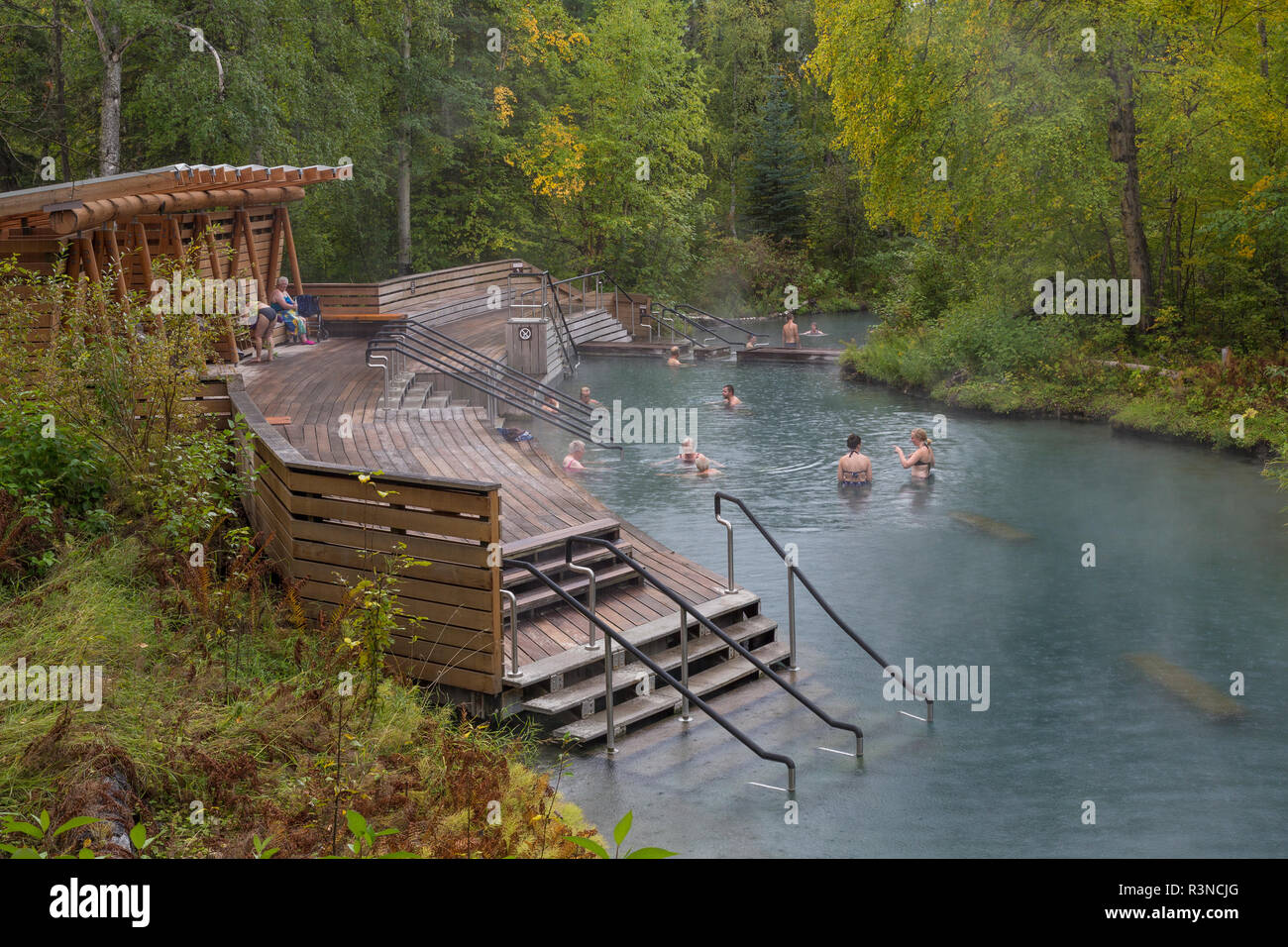 Canada, British Columbia, Liard River Hotsprings Provincial Park