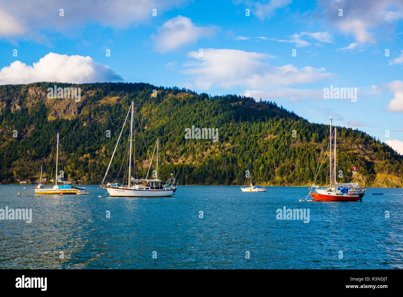 Cowichan Bay, British Columbia, Vancouver Island, Canada. Red, yellow
