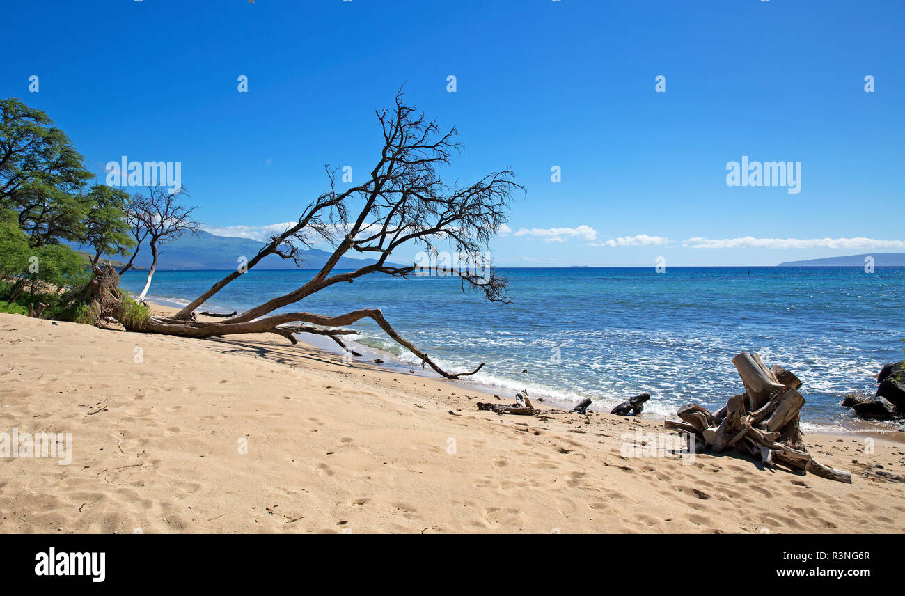 Secret little beach on Maui island Stock Photo