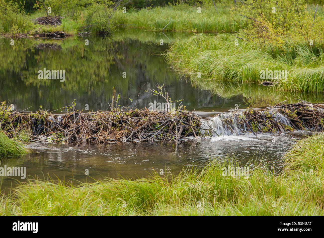Beaver Creek Canada Stock Photos & Beaver Creek Canada Stock Images Alamy