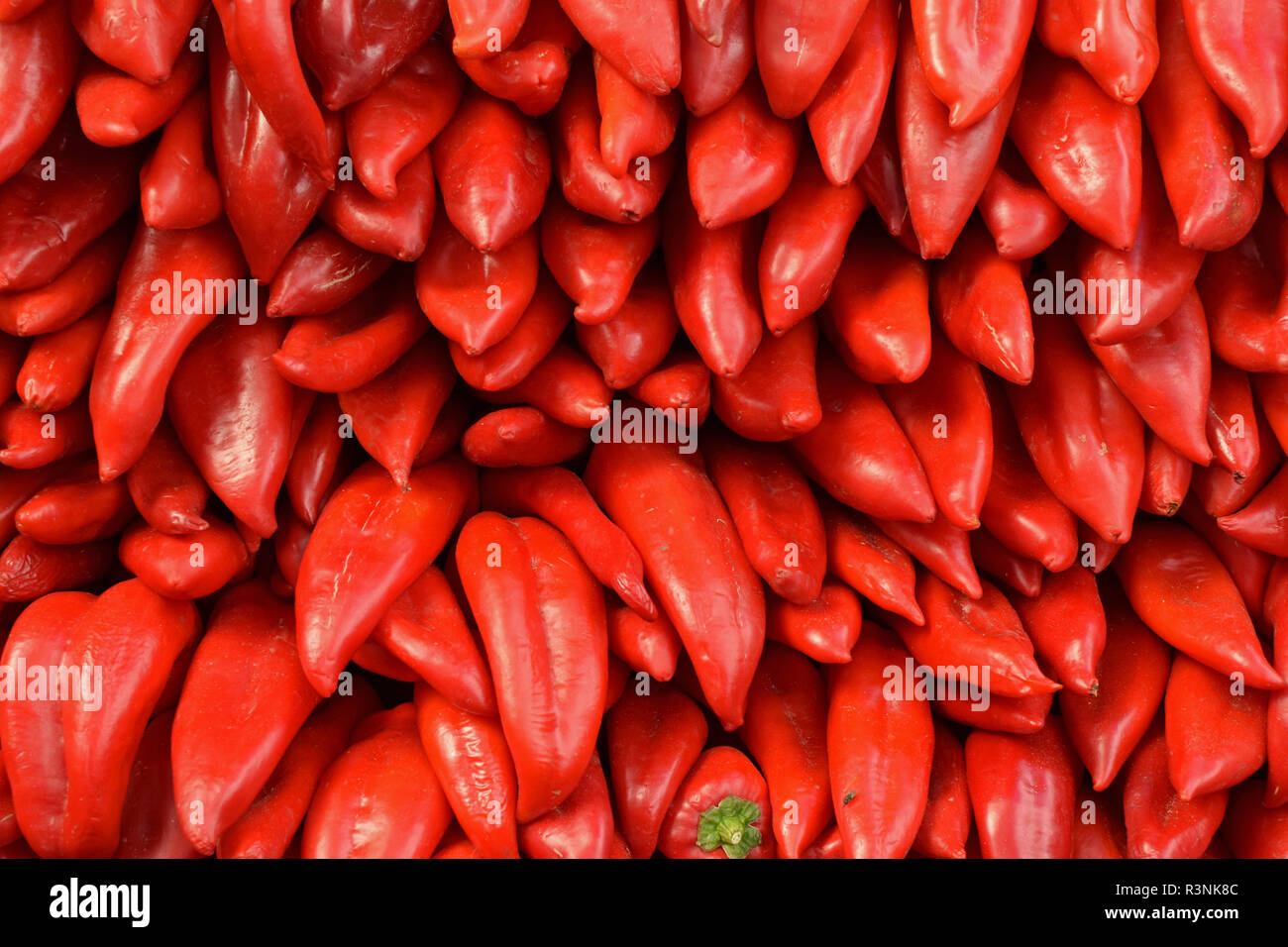 Florina red peppers background. Pile of fresh vegetables. Stock Photo