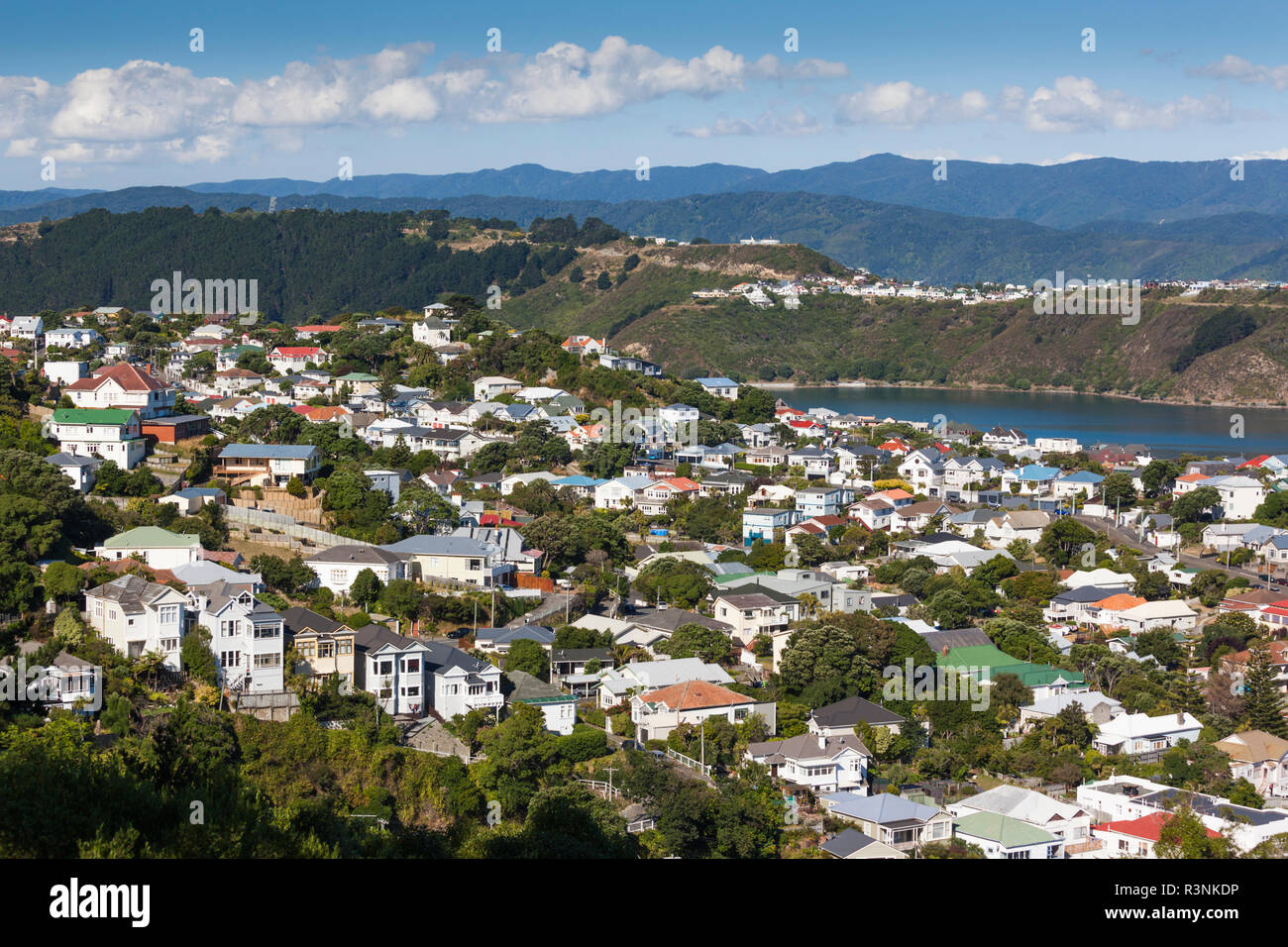 New Zealand, North Island, Wellington. Elevated view of suburbs from Mt. Victoria Stock Photo
