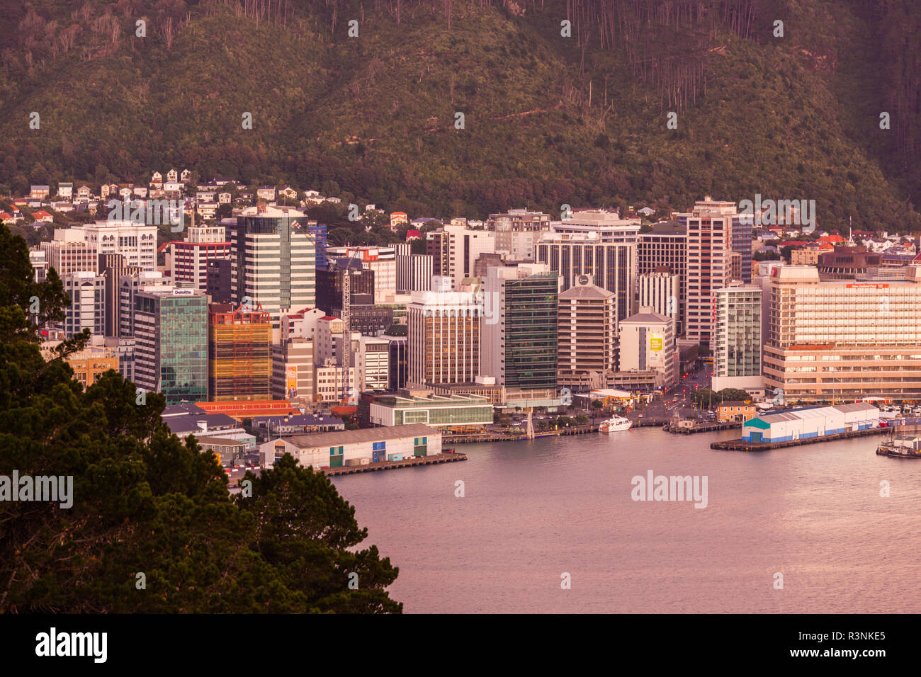 New Zealand, North Island, Wellington. Elevated city skyline from Mt. Victoria Stock Photo
