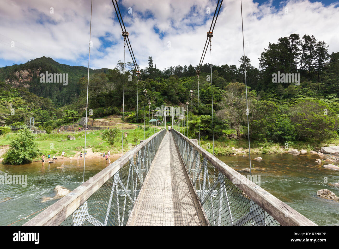 New Zealand, North Island, Coromandel Peninsula. Karangahake Gorge, swinging bridge Stock Photo