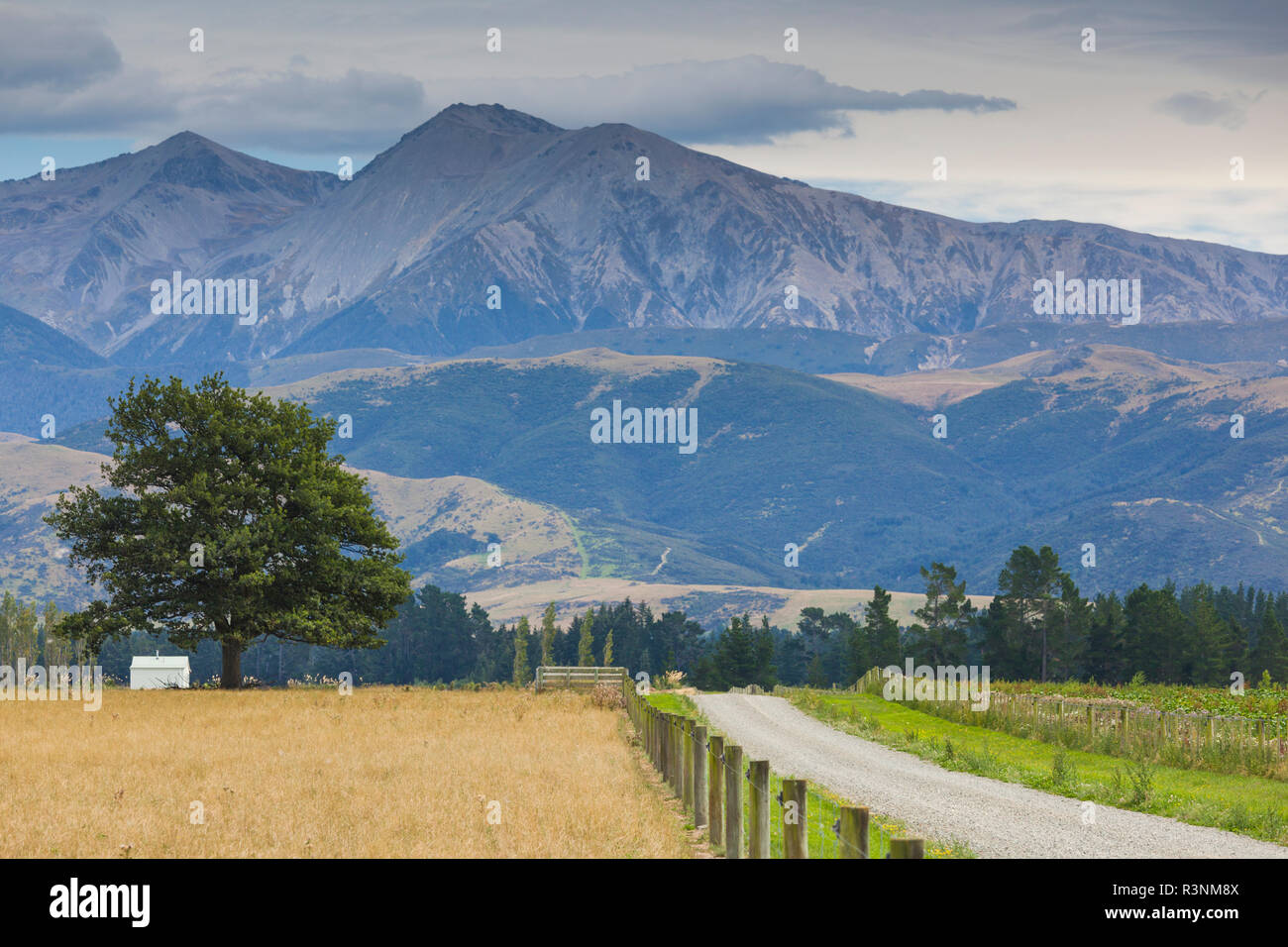 Selwyn canterbury new zealand hires stock photography and images Alamy