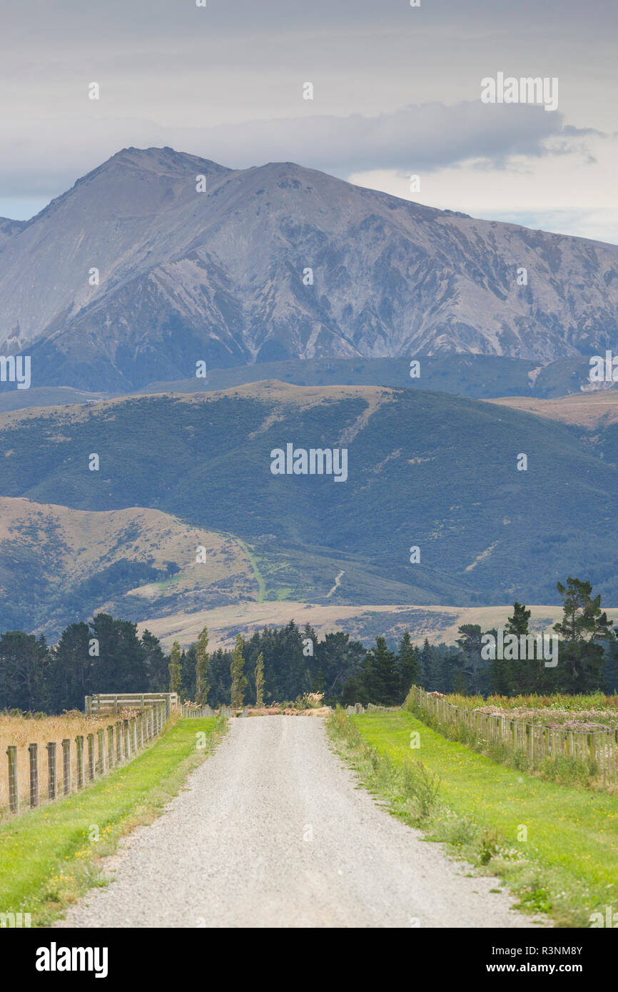 New Zealand, South Island, Selwyn District, Springfield, view of the
