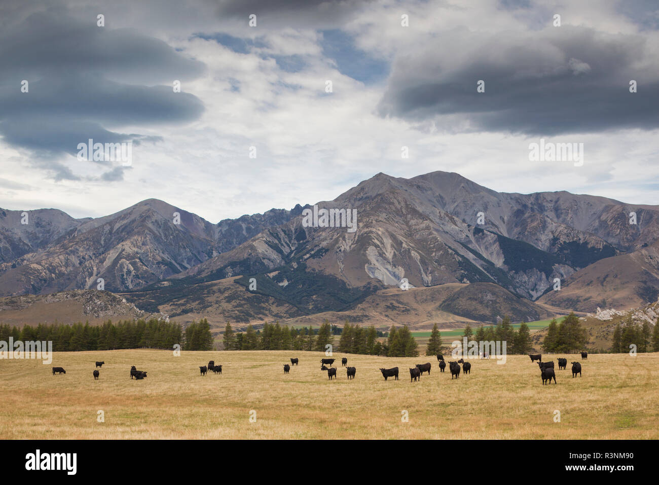 New Zealand, South Island, Selwyn District, Springfield, view of the