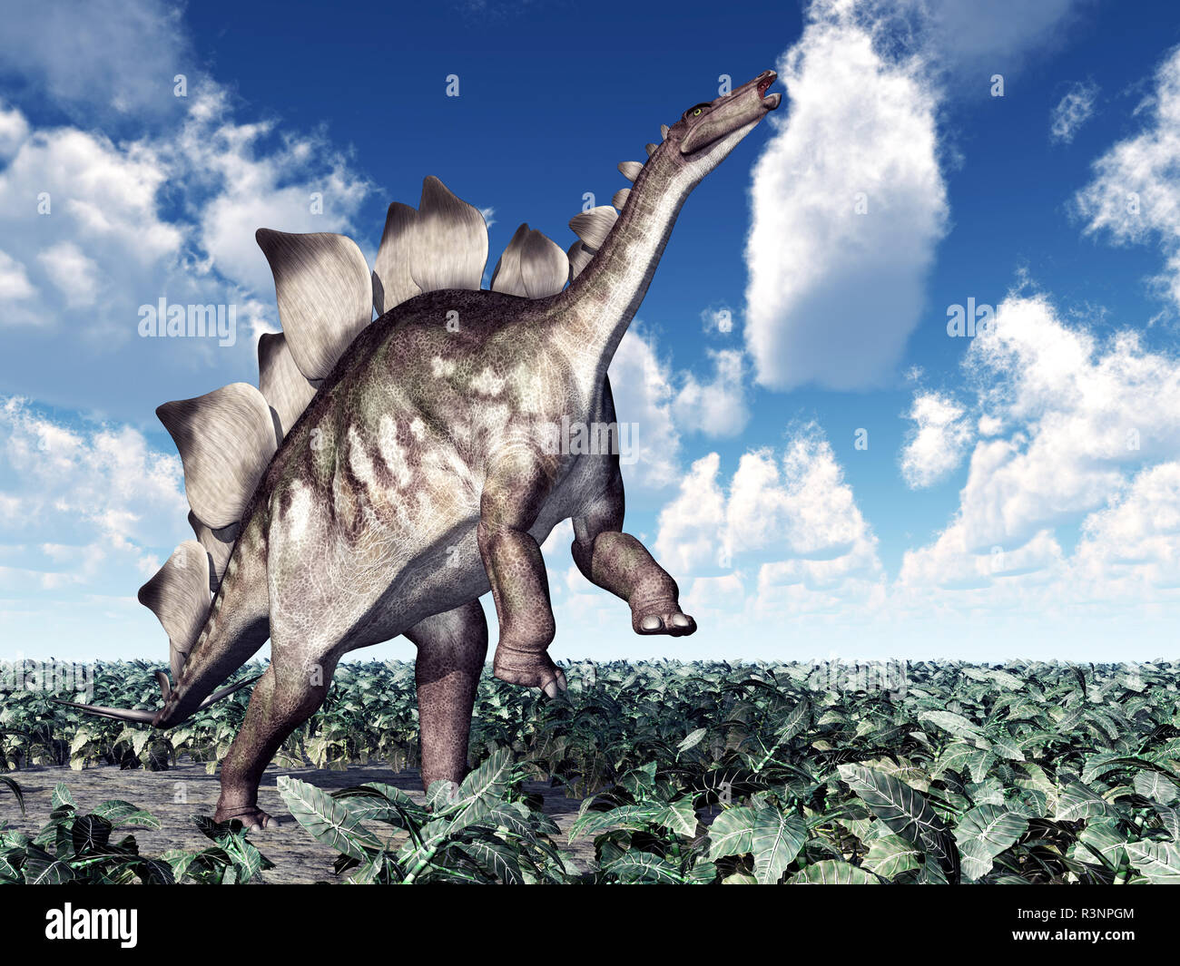 Dinosaur Sauropod, Ankylosaurus, Pterodactyl, Eggs, Tirannosaurus,  Stegosaurus, Fern Stock Illustration - Illustration of beast, background:  165002183