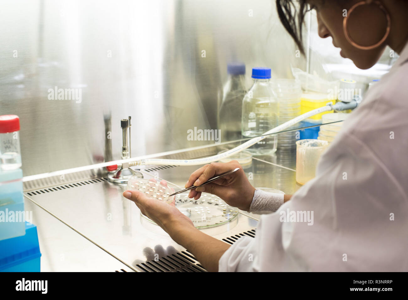 Extraction and analysis of active ingredients of fruits against pests