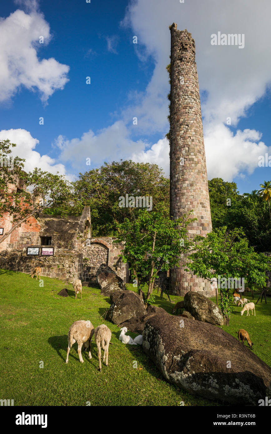 St. Kitts and Nevis, St. Kitts. Romney Manor, ruins of former 17th century sugar plantation