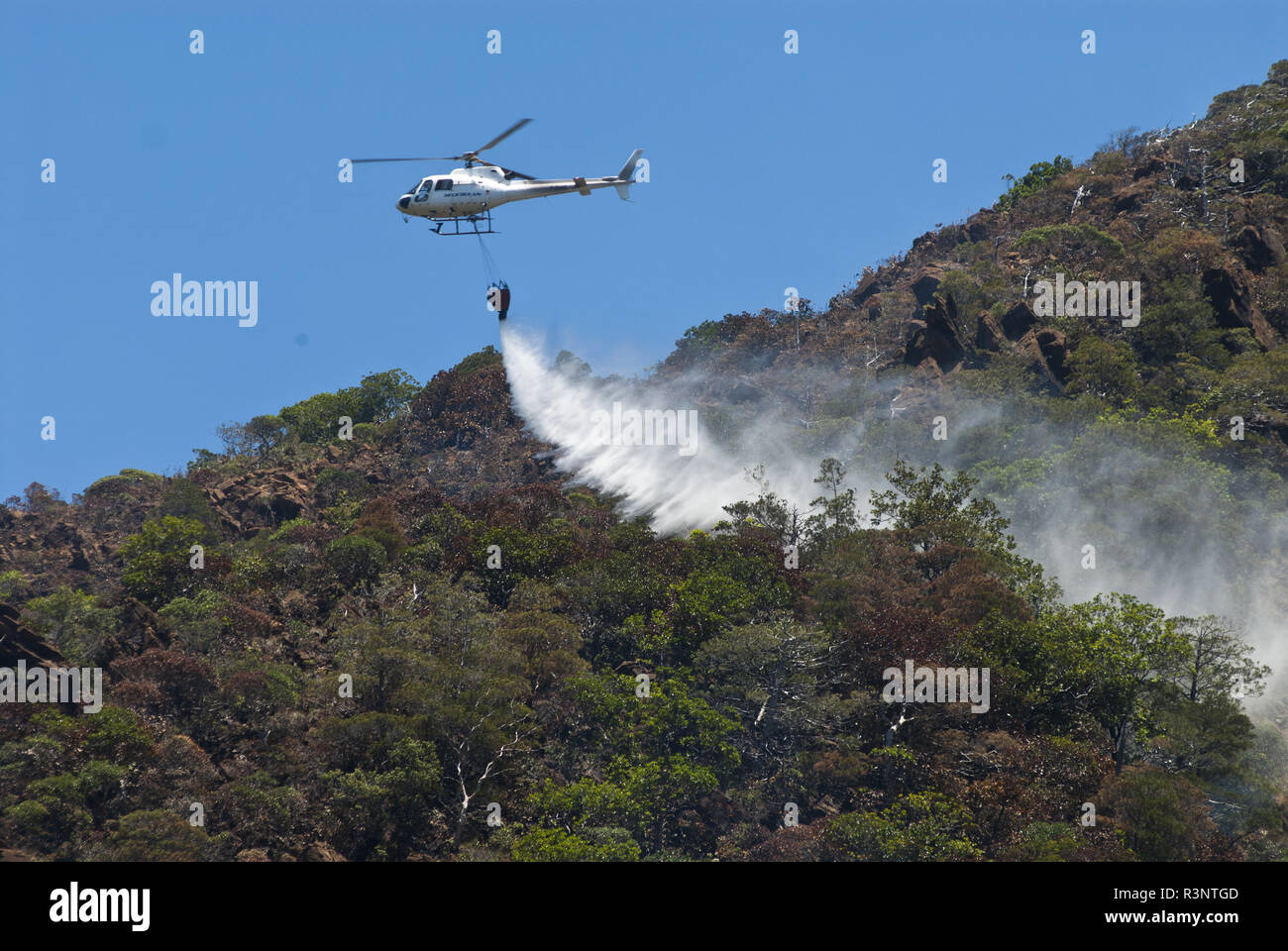 Helicopter fighting a Comboui forest fire in Thio threatening a population of Comboui fir (Callitris sulcata) Protected endemic species, New Caledonia Stock Photo