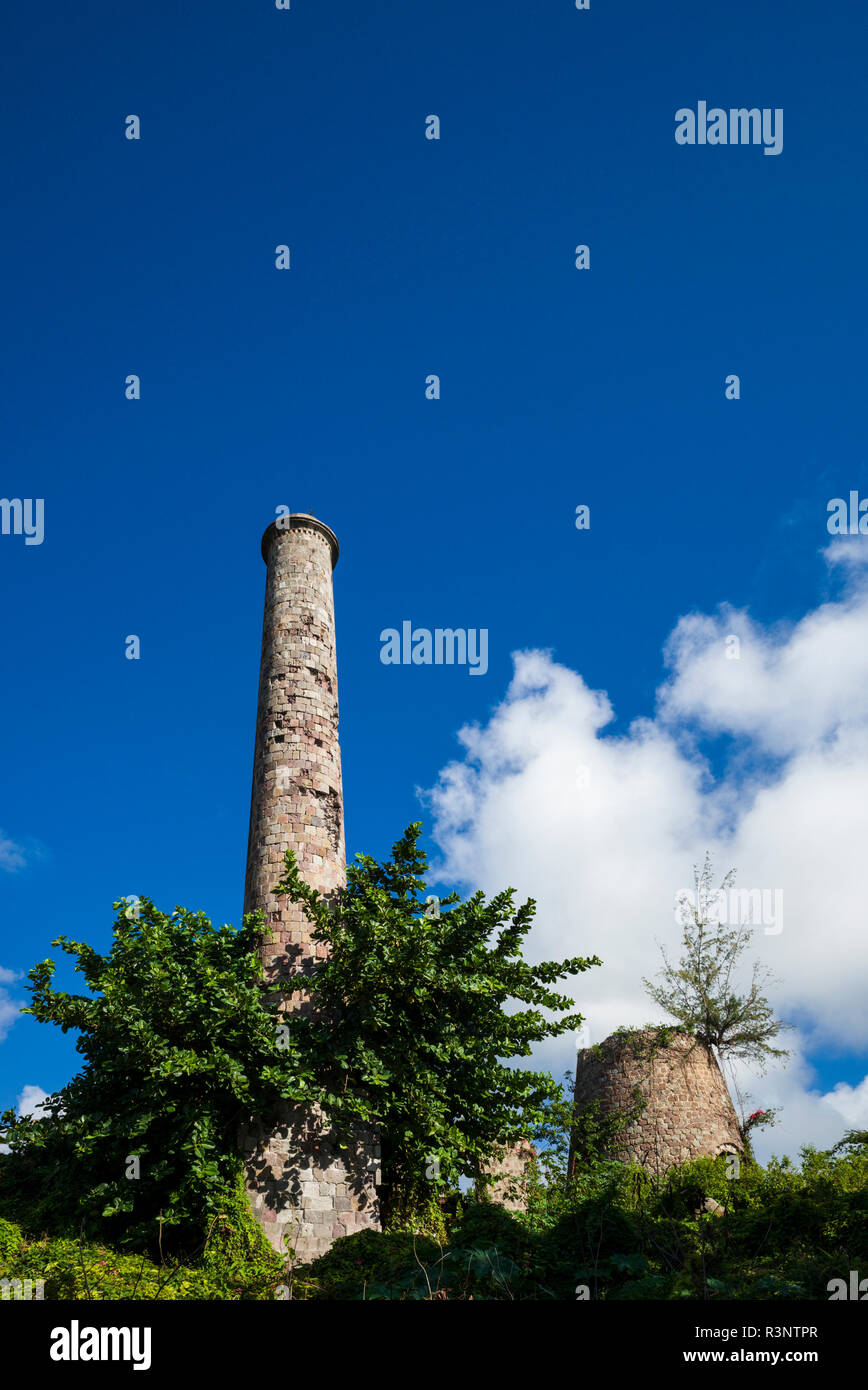 St. Kitts and Nevis, Nevis. Hamilton Estate Ruins, old sugar plantation Stock Photo Alamy