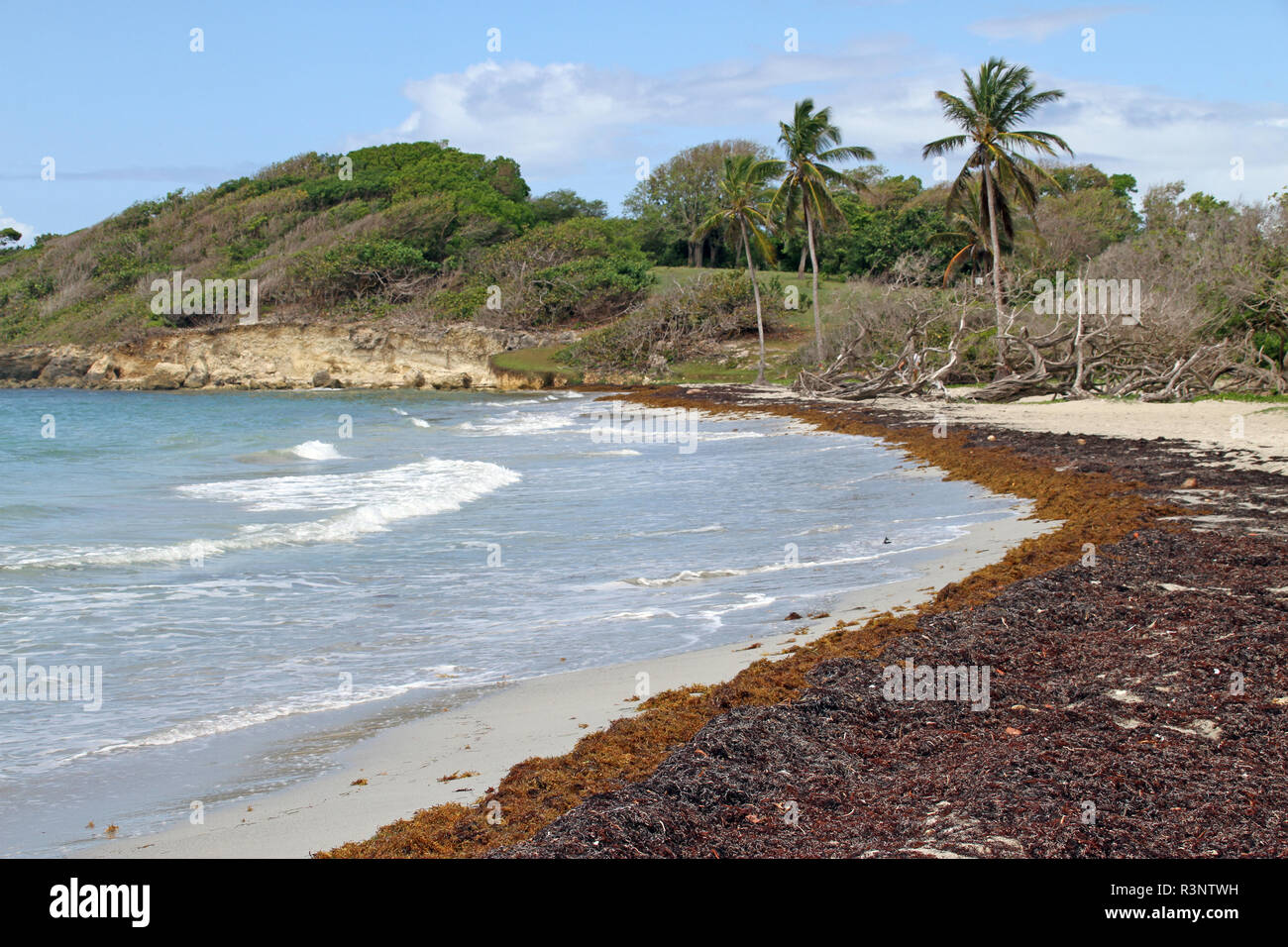 Guadeloupe Surf Stock Photos Guadeloupe Surf Stock Images