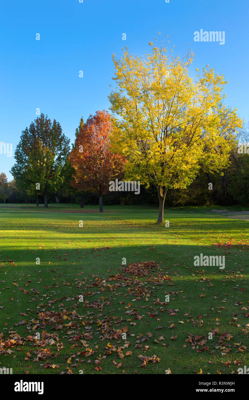 The Colours of Autumn Stock Photo - Alamy