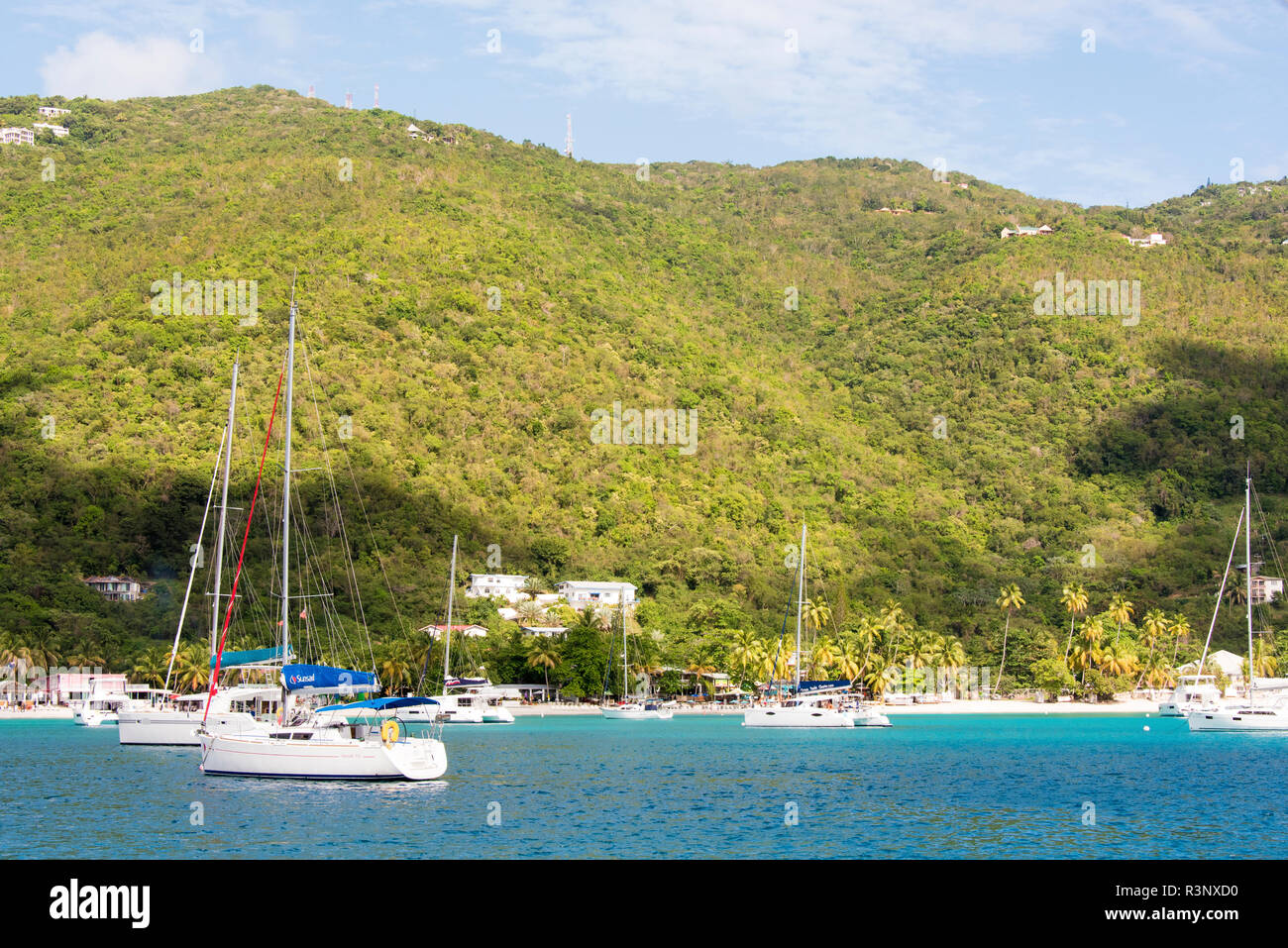 British Virgin Islands Lush Beach Vegetation And Hillsides Cane